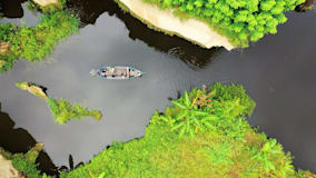 河中一条划艇空拍带明绿热带植物